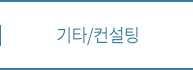 기타/컨설팅